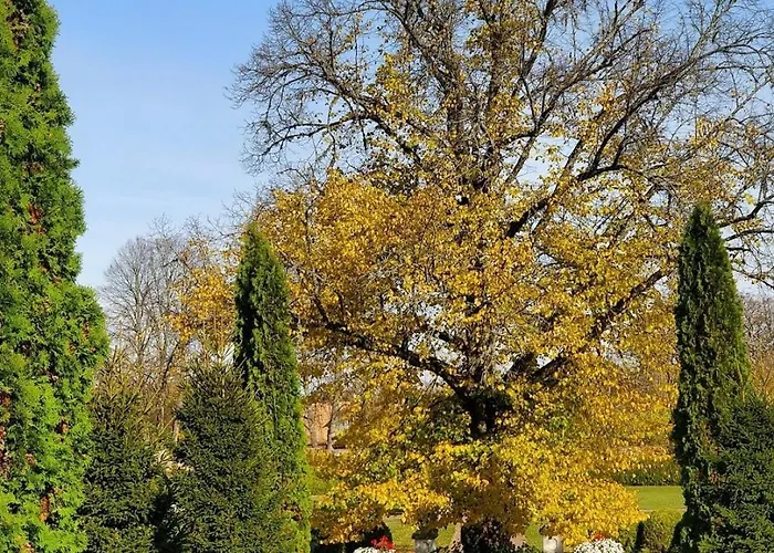 Majestic Manor Gardens An Elegant Private Retreat Sausti